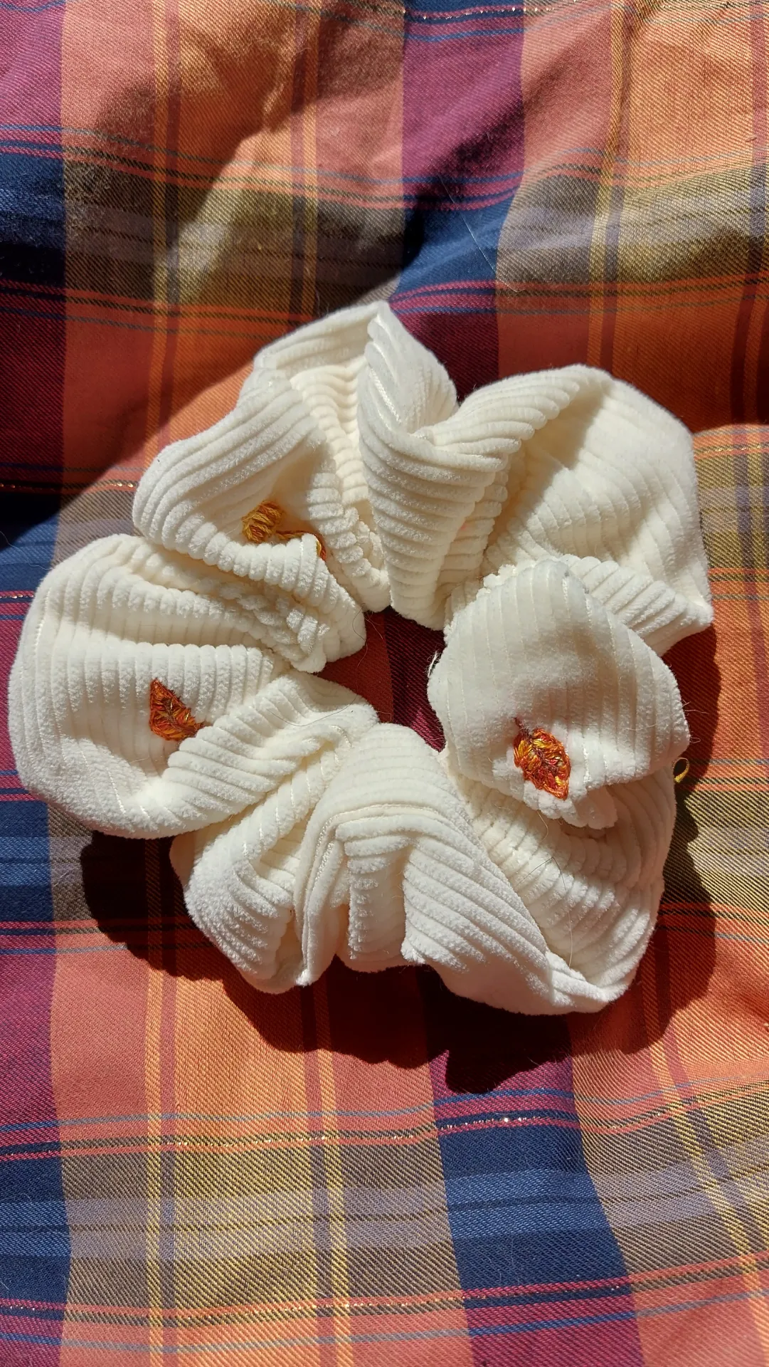 Chouchou Chanterelles